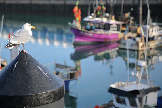 Les Sables d’Olonne - Les ports